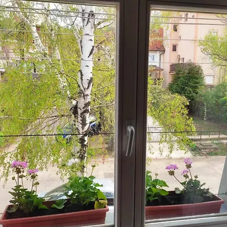 Bon Bons Soko Banja