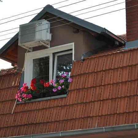 Vendégház Bon Bons Sokobanja