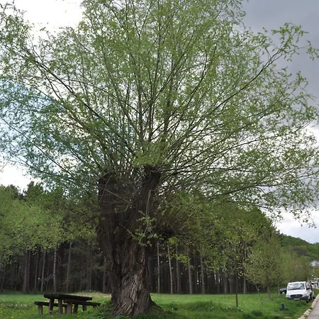 Bon Bons Vendégház Sokobanja